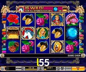 VIP Casino l55